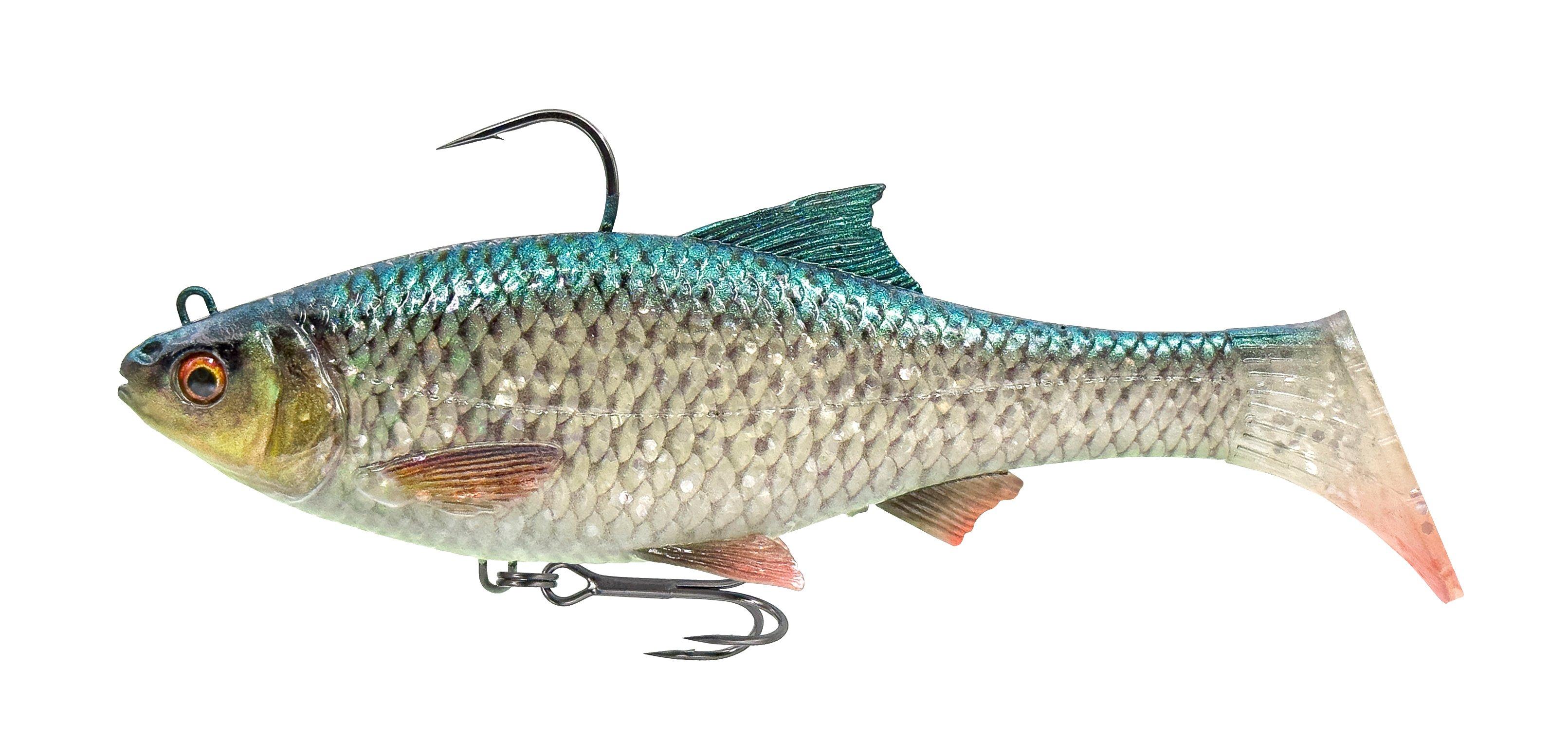 Der Savage Gear 3D Roach RTF