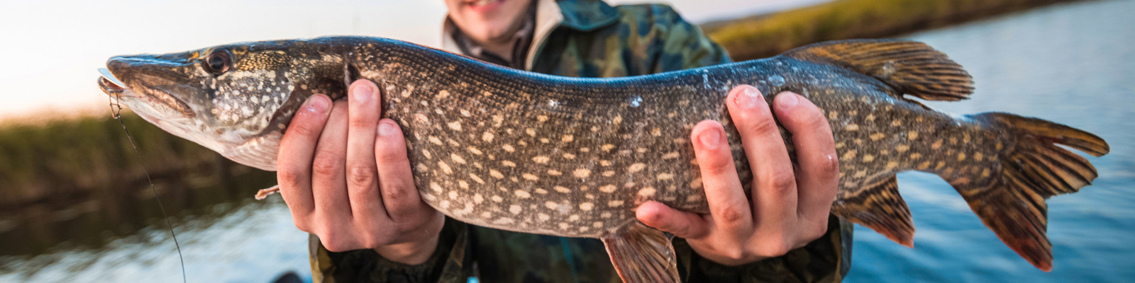 Kein Titel (1600 x 400 px)