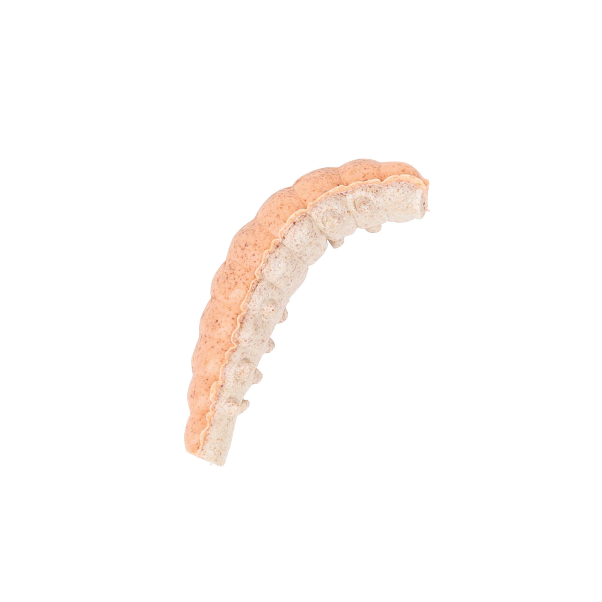 PowerBait Power Honey Worm Orange Pearl