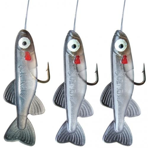 Jenzi Hegene mit Fishli´s Farbe O Jenzi Hegene mit Fishli´s Farbe O