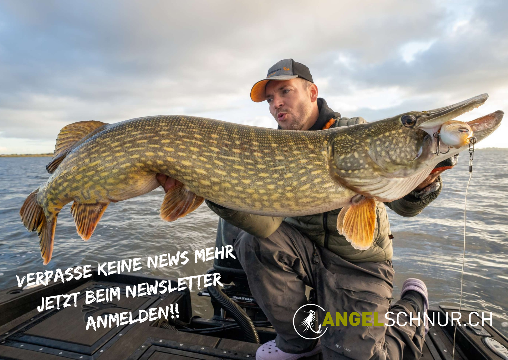 Verpasse keine news mehr jetzt beim newsletter anmelden!!