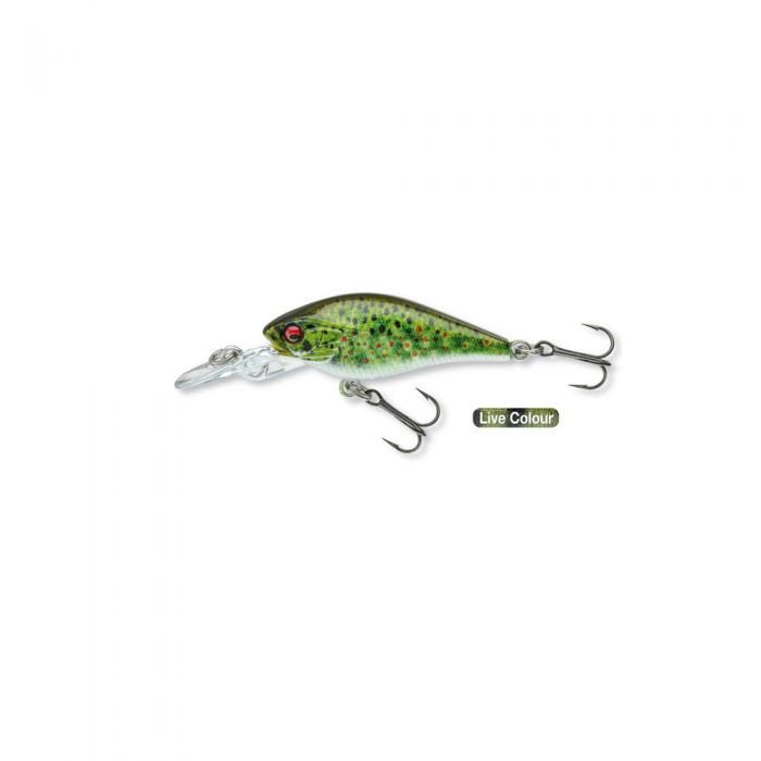 Daiwa Prorex Baby Crank 40 MR - Live Brown Trout